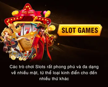 Bước 4: Bắt đầu săn cá
